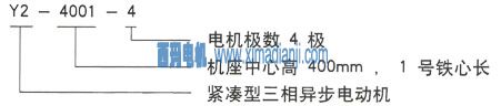 泰富西瑪Y系列三相異步電機型號說明