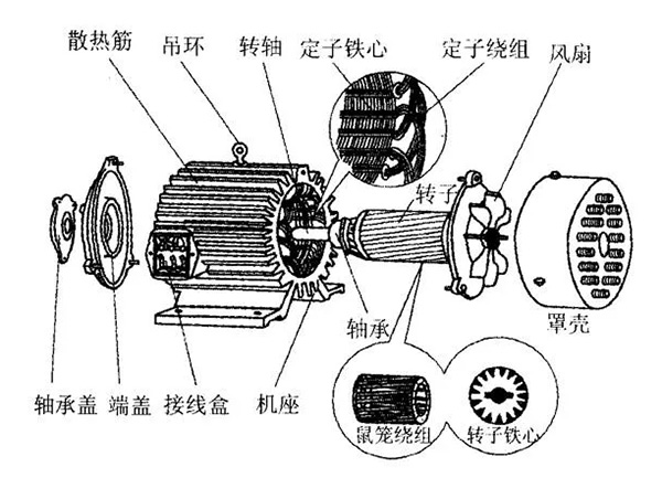三相異步電動機的六種分類方法及具體分類。